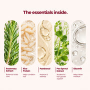 Rosemary & Rice Water Spray
