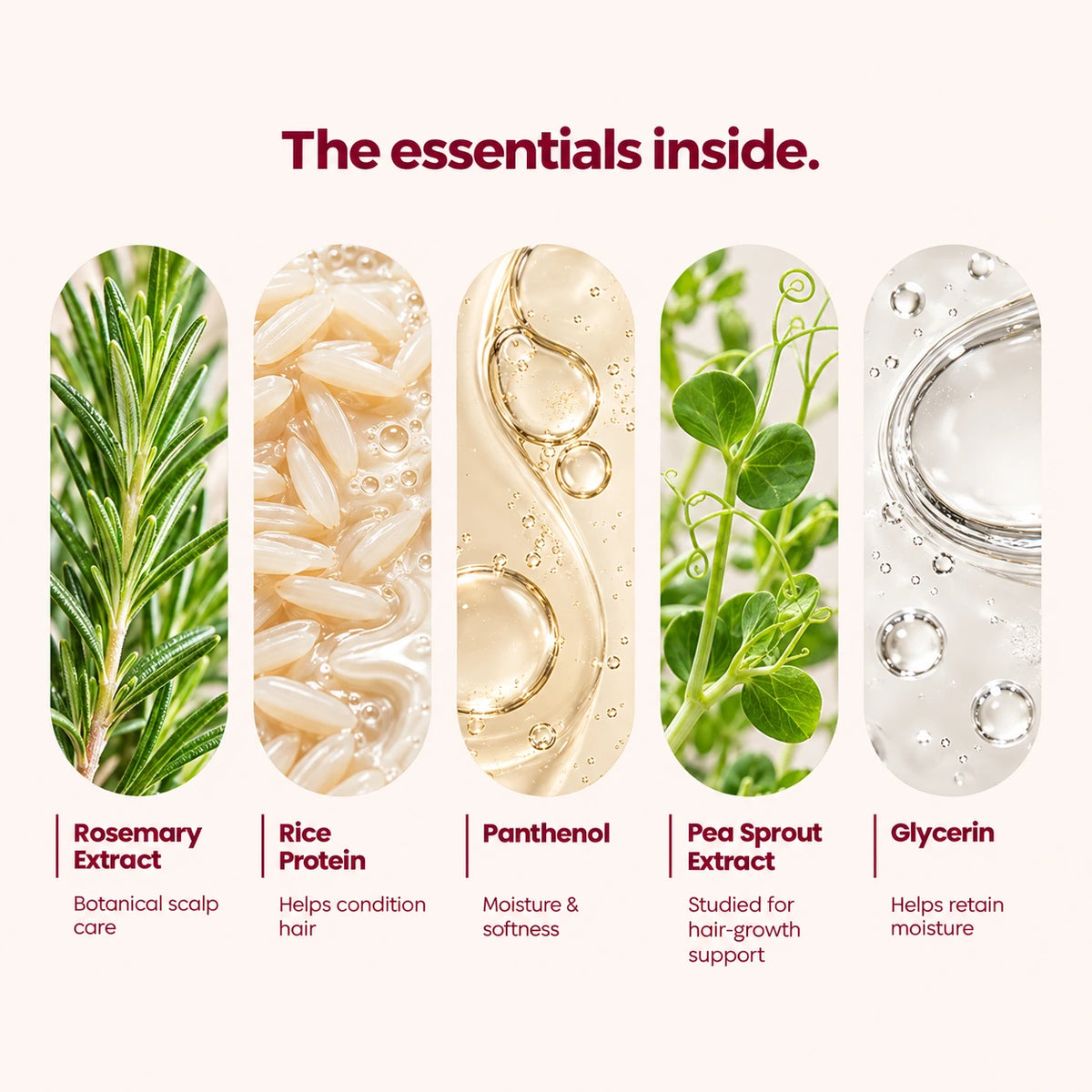 Rosemary & Rice Water Spray